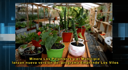 lanzamiento-los-vilo-emprende-mlp